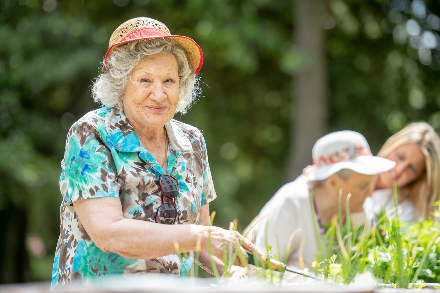 Arriva la primavera! Le attività all’aria aperta che giovano in terza età