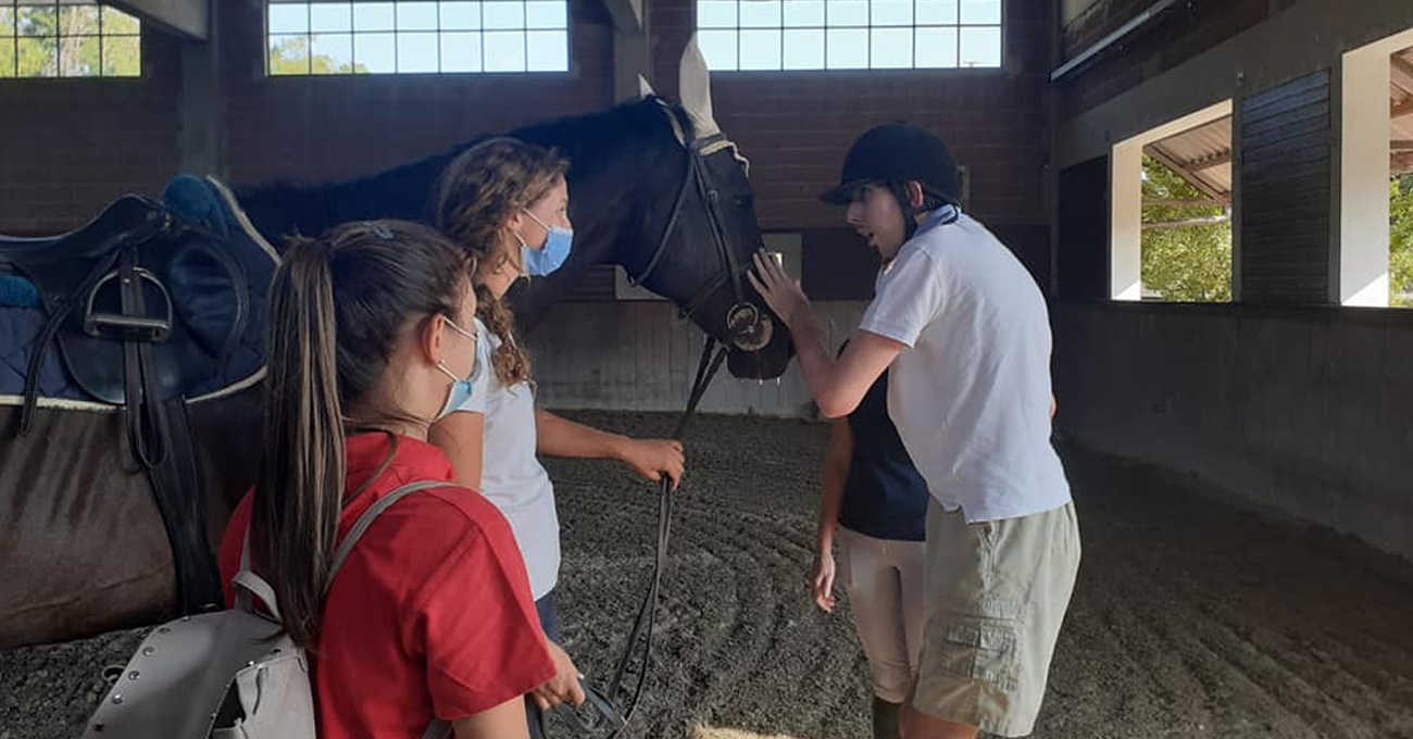 Percorso Educativo di avvicinamento al Cavallo