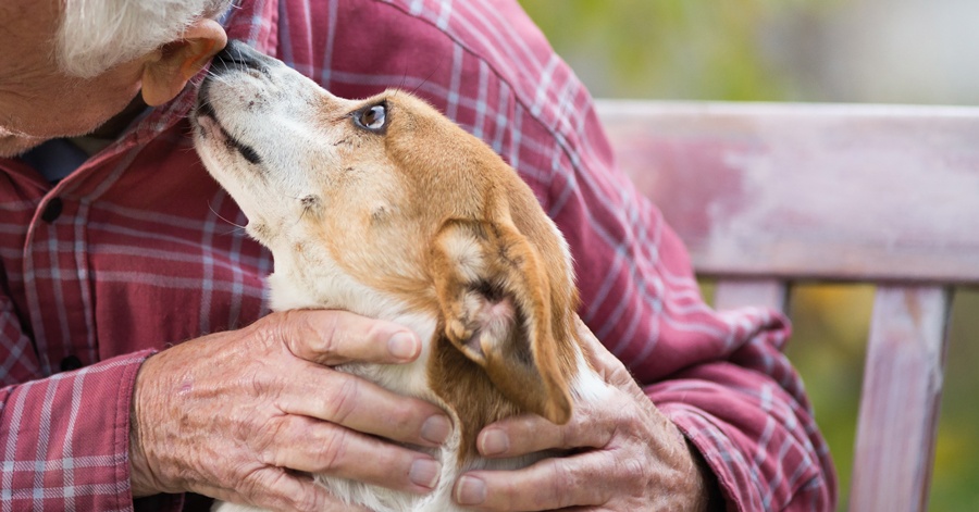 Terapie, spazi e socialità: l’Alzheimer e le nuove frontiere per il sollievo