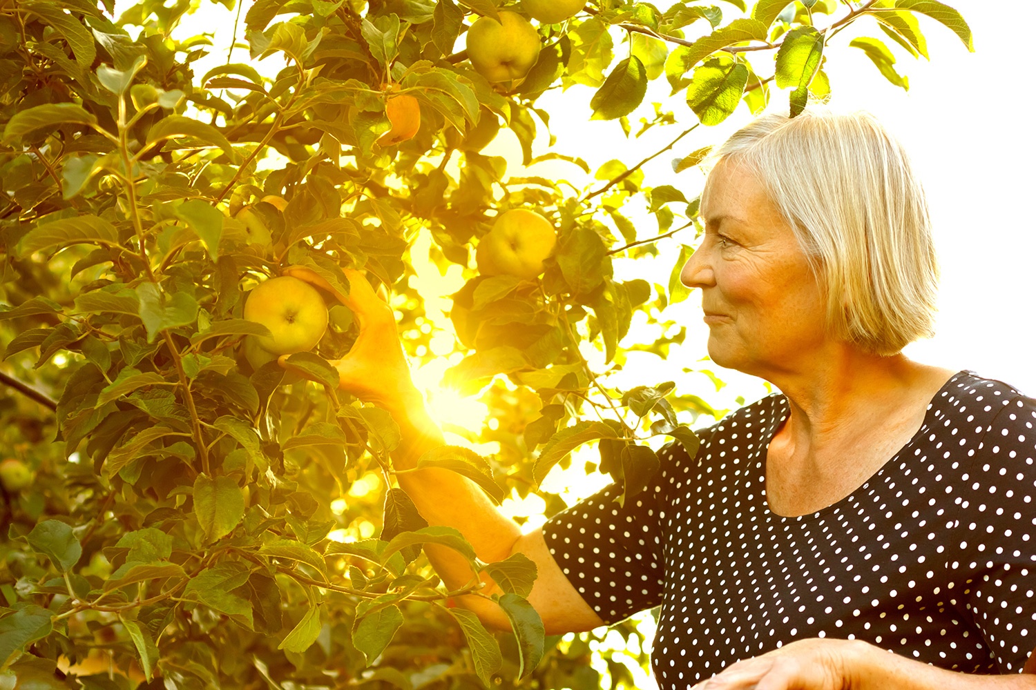 L’importanza delle vitamine per i senior