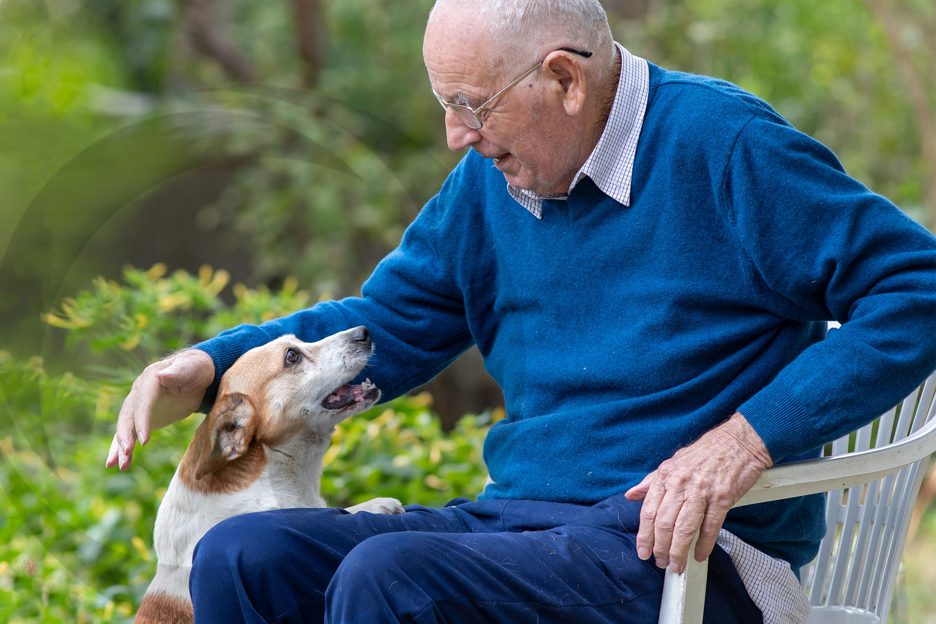 Pet Therapy: utile in RSA, ma anche a casa