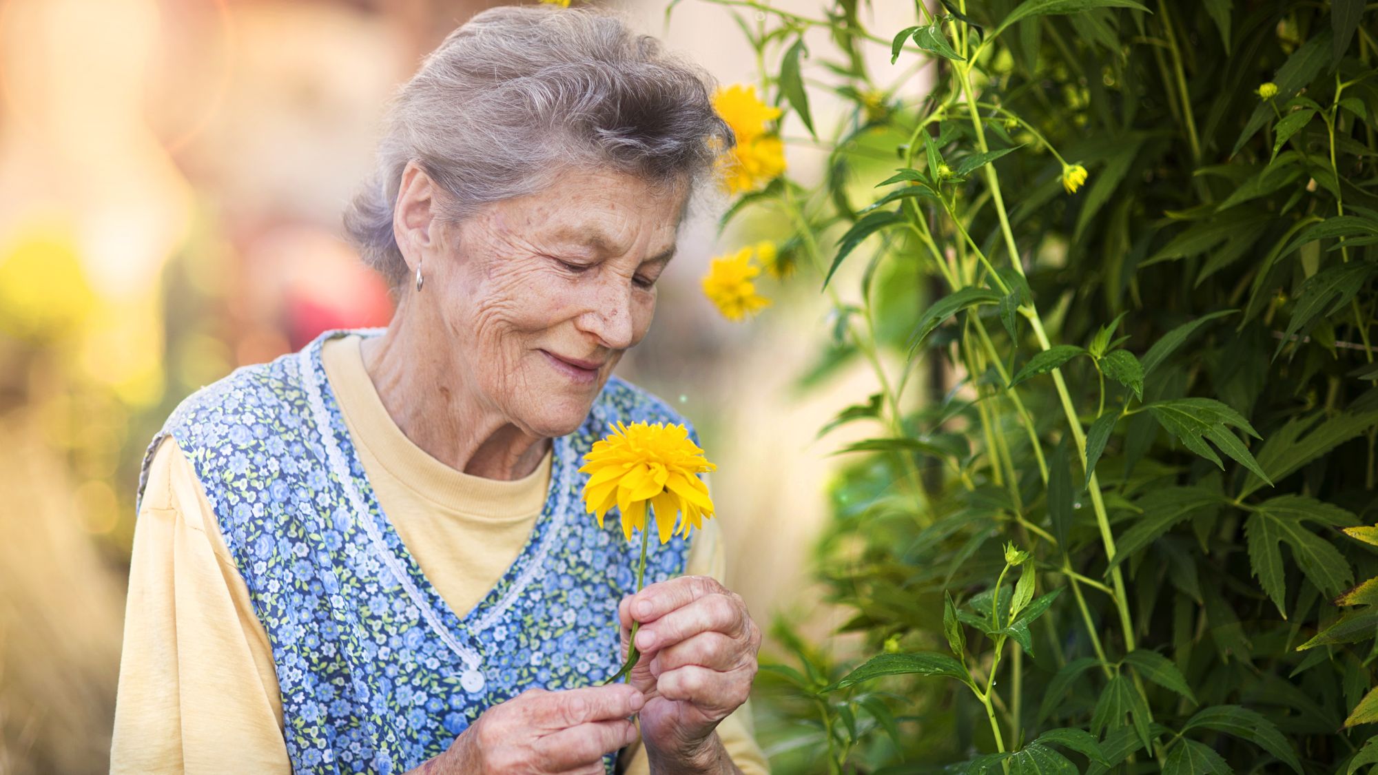 La primavera è arrivata: come difendersi da allergie e prendersi cura della pelle degli anziani