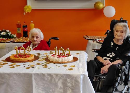 compleanno-100-anni-botticelli-Dina-Giuliana