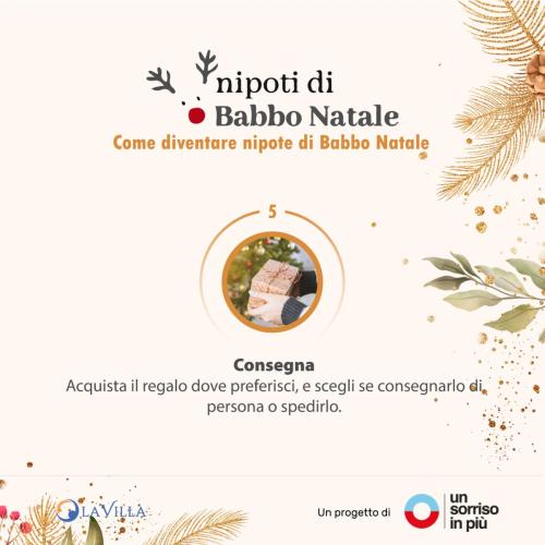 Step-05-Nipoti-di-babbo-Natale-LaVilla-100