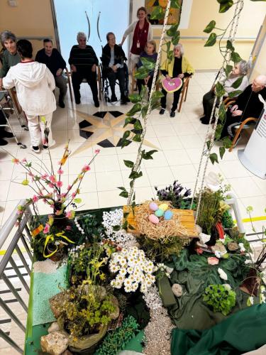Zone sensoriali DONATELLO - Primavera