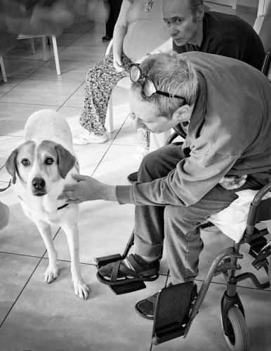 Pet-therapy rsd leopardi