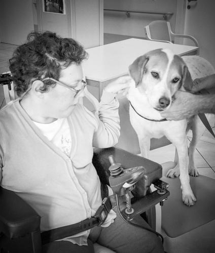 Pet-therapy rsd leopardi