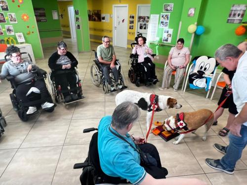 Pet-therapy rsd leopardi