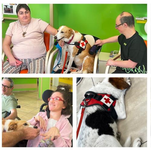Pet-therapy rsd leopardi