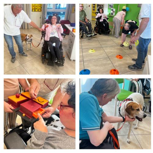Pet-therapy rsd leopardi