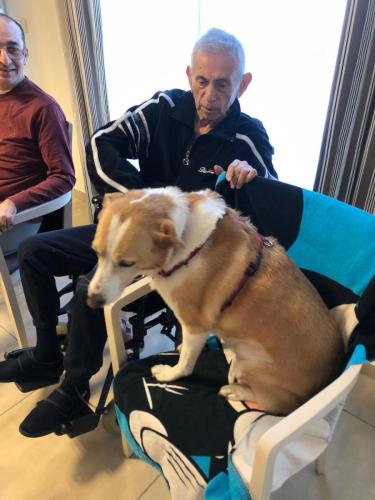 Pet-therapy rsa leopardi
