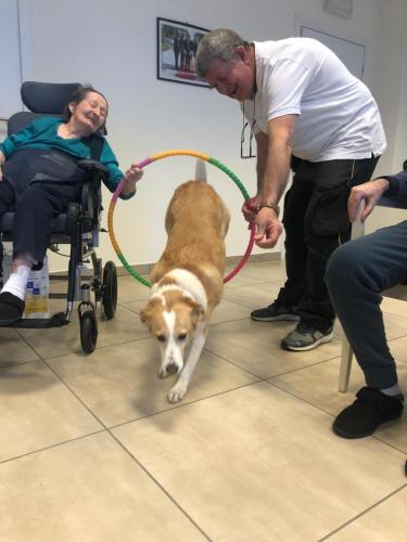Pet-therapy rsa leopardi
