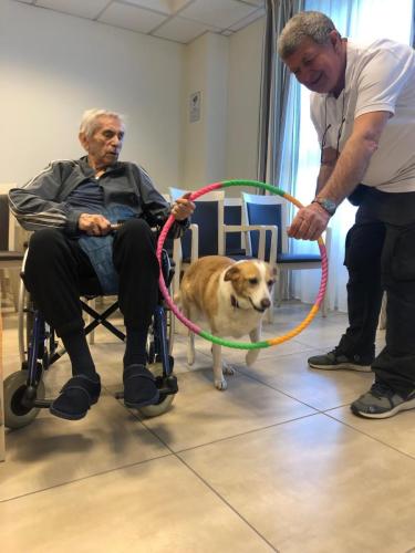 Pet-therapy rsa leopardi