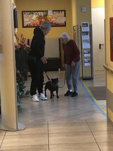 Pet-therapy rsa leopardi